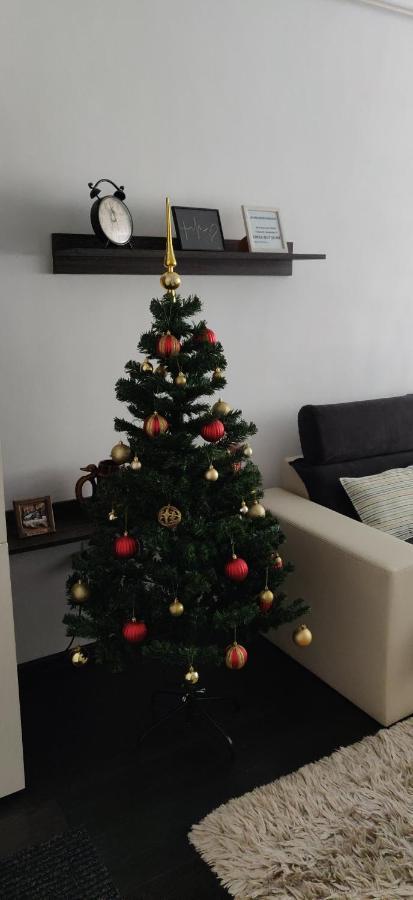 Avangarden Apartment Braszów Zewnętrze zdjęcie